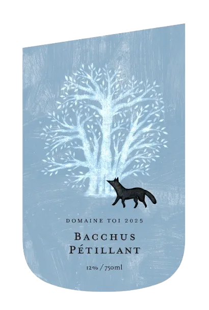 Bacchus Petillant 2025 label