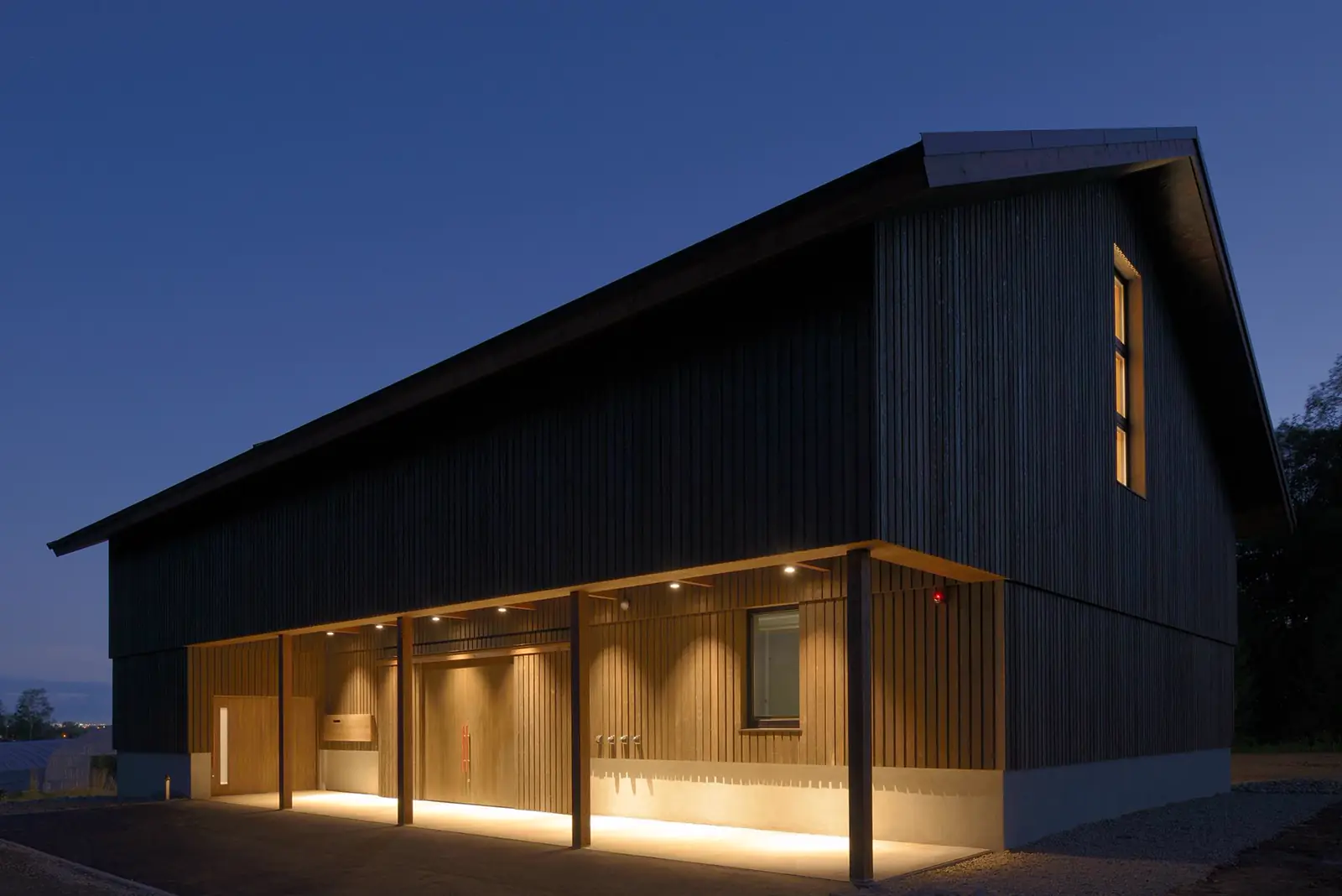 ブドウの手摘み収穫風景