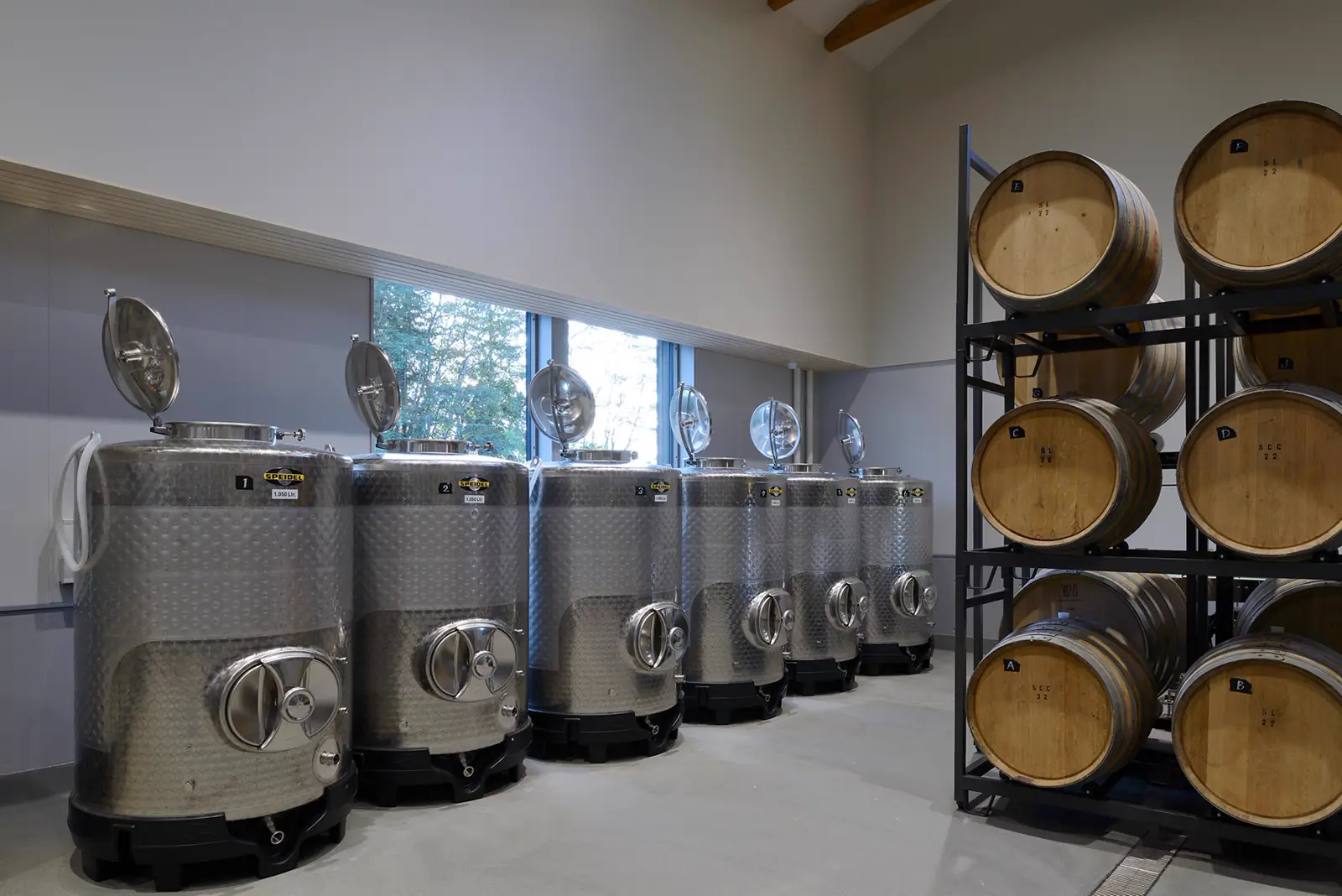 収穫したブドウの選果作業