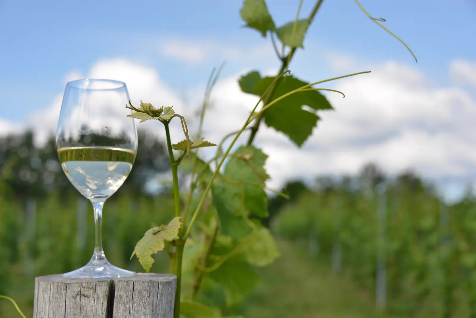 北海道鷹栖の風景