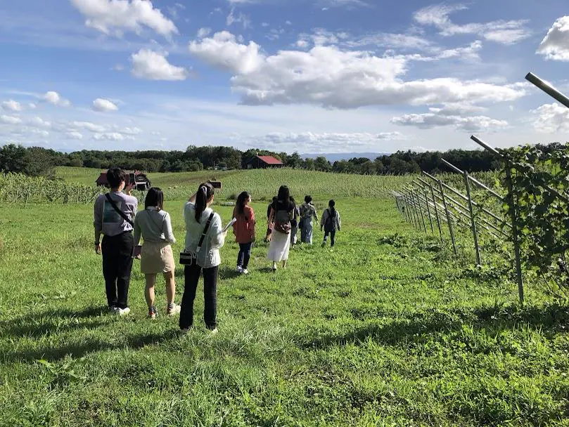ワイン醸造の様子