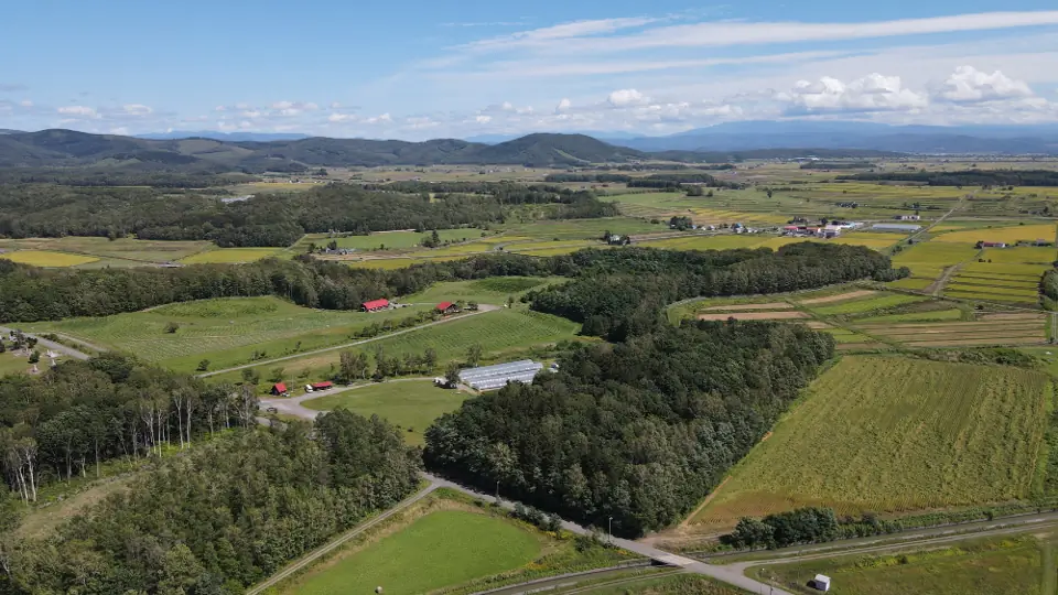 鷹栖町のブドウ畑全景